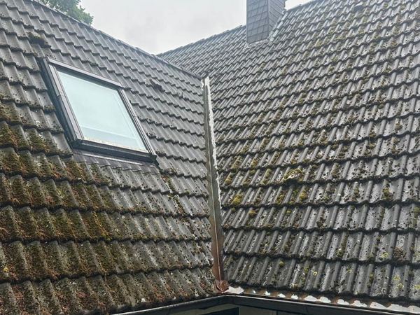 Dachfläche mit dichtem Moos zwischen den Ziegeln vor der Reinigung